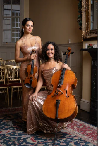 Why You Should Hire Live String Musicians for Your Wedding or Event