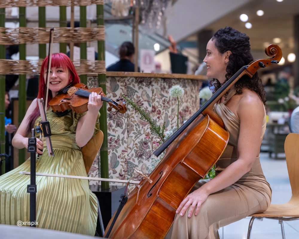 how much does it cost to hire string musicians in london?