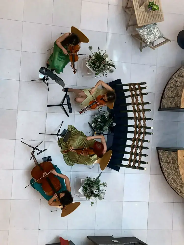 hire classical string musicians