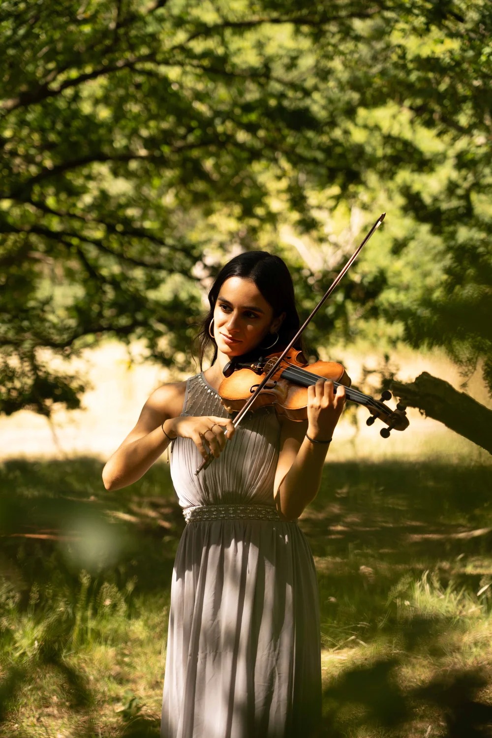 solo violinist for hire