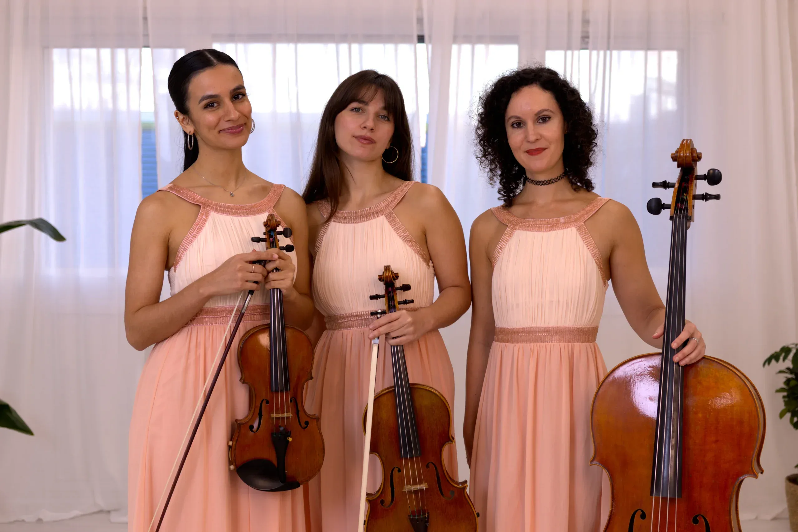 hire a string trio in london